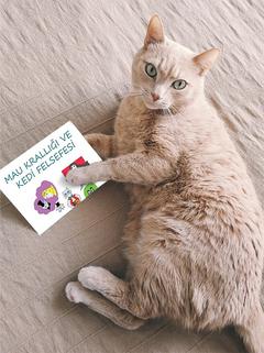 KONUŞAN KEDİ VİDEOSU ! Akıllı Kedi Karamel Masal Okuyor