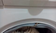  Çamaşır makinesi körük lastiği