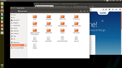  ubuntu kurulum sonrası yedek harddiskte oluşan dosyalar nedir ?