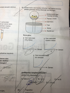 Çökelme ve çimlenmekte olan bitki sorusu