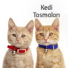 Kedi Malzemeleri Satış Sitesi