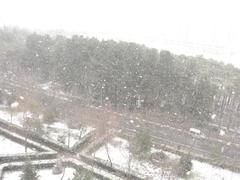  istanbul-beylikdüzü kar başladı
