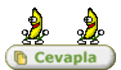 profesyonel killi olarak bu baslikta