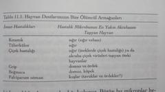  The walking dead'de virüsün yayılışı ve çıkışına dair