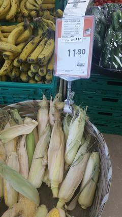 1 ADET çiğ Mısır 11.9₺ 🌽