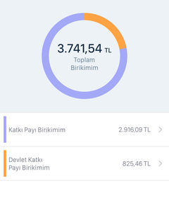 Bireysel Emeklilik Sistemi Ve Emeklilik Yatirim Fonlari