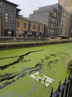 Londra’da yaşıyorum  sorularınızı alabilirim