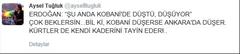  Kobani düşerse Ankara'da düşer