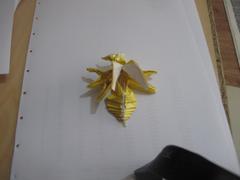  Origami (Kolaydan Zora)