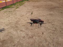  ###  <<<Parrot AR DRONE 2.0  (Ana Konu)>>> ###