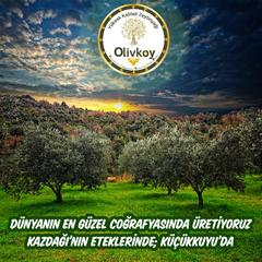 Olivkoy Zeytinyağı | Soğuk Sıkım Sızma Zeytinyağı