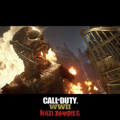 Call of Duty: WWII (2017) [PC ANA KONU]