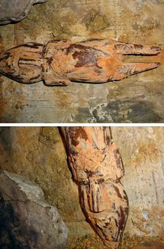 forum donanimhaber com