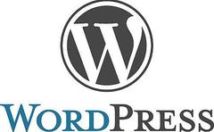  Wordpress Kurulumu