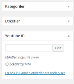  Wordpress Özel Alan Hakkında