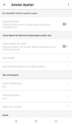 Türkçe Google Asistan için Beta kayıtları başladı