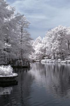 KIZILÖTESİ FOTOĞRAFÇILIK ( INFRARED PHOTOGRAPHY )