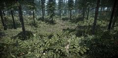  CryENGINE 3 inceleme (ss'li)