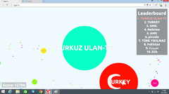  SONUÇLARI BEKLERKEN AGAR.İO SONUNU GETİRDİM :d