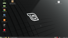  Linux Mint videolar da kilit işareti
