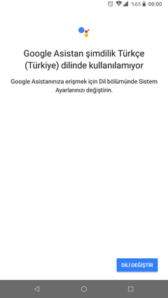 Türkçe Google Asistan için Beta kayıtları başladı