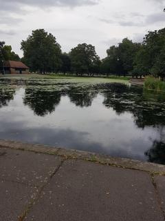 Londra’da yaşıyorum  sorularınızı alabilirim