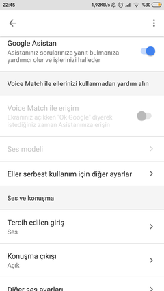 Google Asistan Voice Match Aktif Edilemiyor