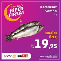 karadenız somon  kg 19.95 konya adese