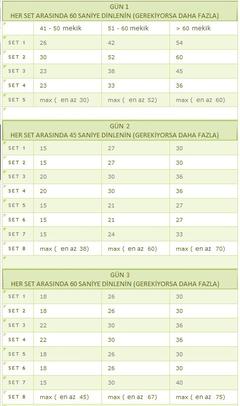  Şınav, Mekik ve Barfiks Programları