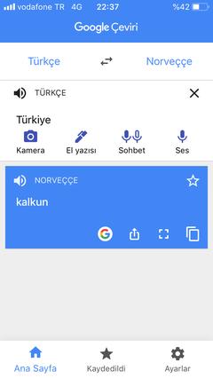 Google Translate Türkiye’yi diğer dillere hindi olarak çeviriyor.
