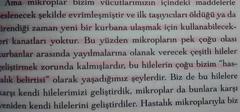  The walking dead'de virüsün yayılışı ve çıkışına dair