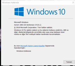 Windows 10 22H2 Rehberi | 12 EYLÜL 19045.3448 | Resimli Anlatımlar | Araçlar [EFSANE KONU]