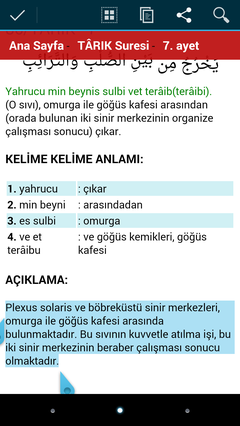 Tarık suresi 7. Ayet 