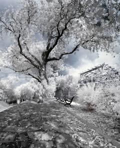 KIZILÖTESİ FOTOĞRAFÇILIK ( INFRARED PHOTOGRAPHY )