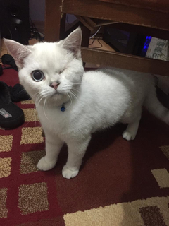 forum donanimhaber com