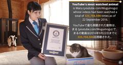 Youtube Kedi Kanalları