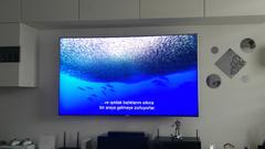 Samsung QLED Serisi TV Kullanıcıları [ANA KONU]