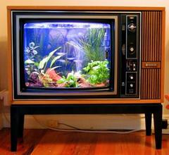  Eski Tüplü Tv işe yarar parçaları nelerdir?