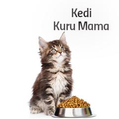 Kedi Malzemeleri Satış Sitesi