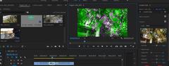 Adobe premiere pro CC Yeşile dönen ekran sorunu