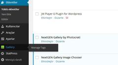  Wordpress Nextgen Gallery Kurulum Sorunu