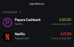 Netflix Kardeşlik DOLDU