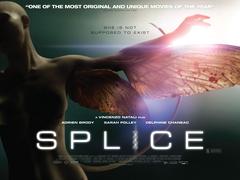  Splice / 2009 / Adrien Brody / Bilim-Kurgu
