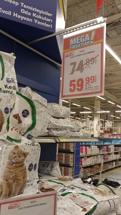 kedi mama 10kg 60tl metro market