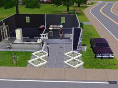  The SIMS 3 [EV] 'lerinizi görelim (SS)