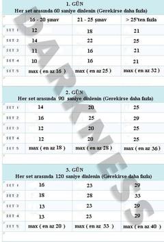  Şınav, Mekik ve Barfiks Programları