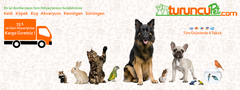  TuruncuPet.com | On-Line Pet Market