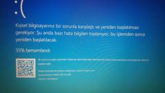 Windows aciliyor ama renkler birbirine giriyor.bazen mavi ekran hatası veriyor.nerede sorun var arkadaşlar.model vaivo sve1513V1ESI