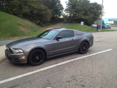  TT - CAYMAN - MUSTANG - 428İ