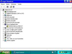  PC Ekran Kartını Görmüyor